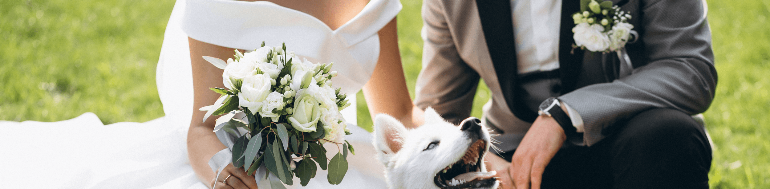 Wedding dog chaperone supporting couple on their wedding day