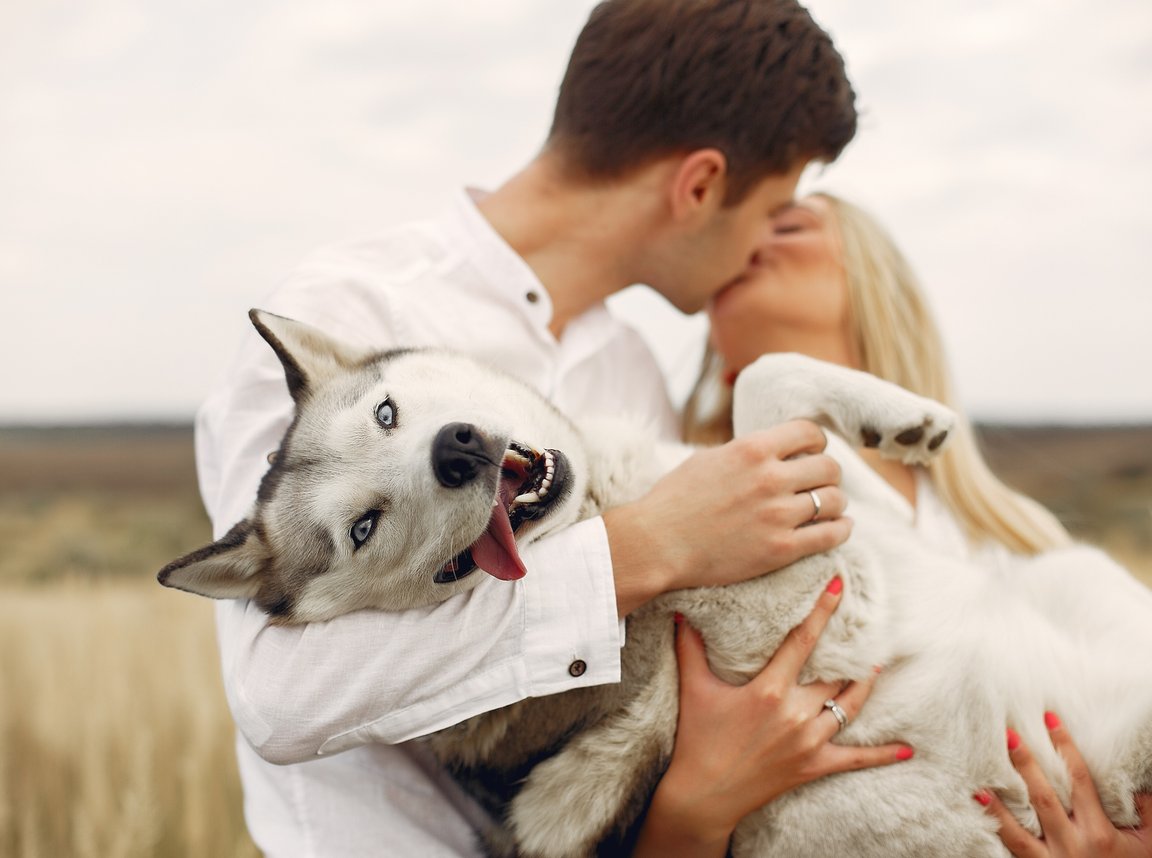 Dog wearing bow tie attending a wedding ceremony